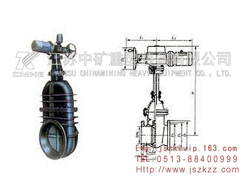 Electric wedge gate valve